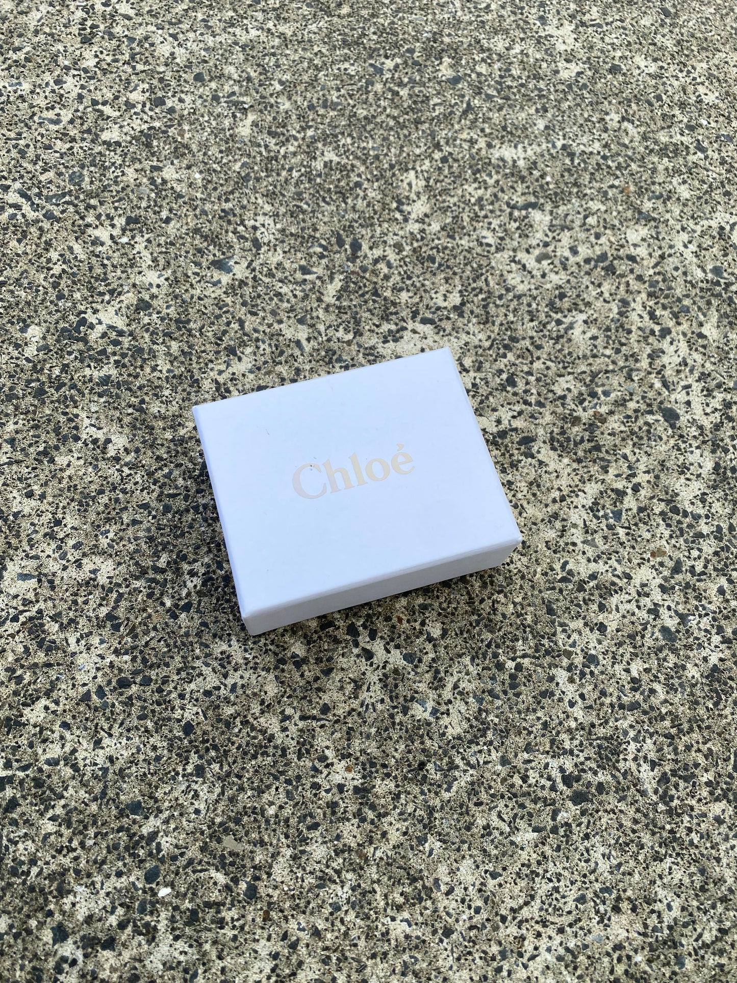 Chloe Bag Key Chain Accessory